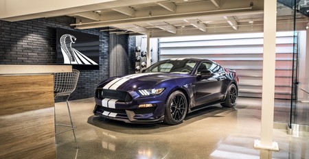 Shelby Mustang Gt350 2019 11