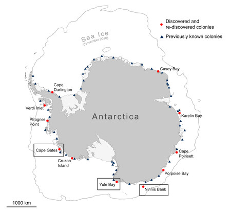 Locations Of Penguin Colonies