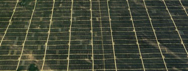 Uma das zonas mais áridas da China está se tornando verde novamente; o motivo: uma usina com sete milhões de painéis solares 