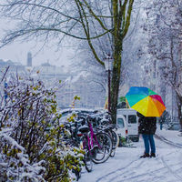 ¿Qué hacer en Ámsterdam en invierno?