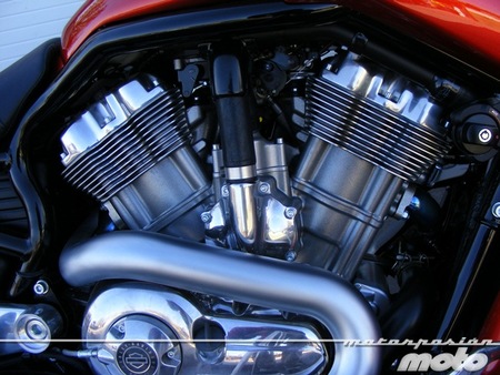 H-D V-Rod Muscle