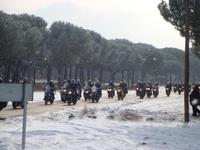 Pingüinos 2010 se acerca