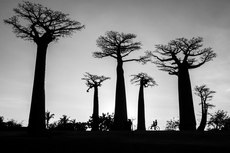 Katy Gómez Catalina vencedora absoluta en los Travel Photographer of the Year 2019, concurso internacional de fotografía de viaje