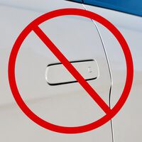 La moda de los tiradores eléctricos de las puertas se ha convertido en un peligro. Ya van dos países que quieren prohibirlos