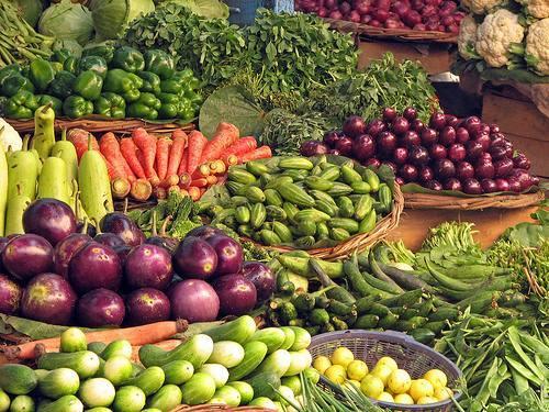 Lista de verduras hortalizas y legumbres