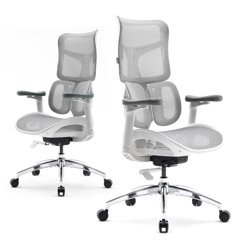 SIHOO Ergonomic office chair Doro S100 - With dual dynamic lumbar support, adjustable backrest in 5 levels, 4D coordinated headquarters suitable for the house office (S100 White)