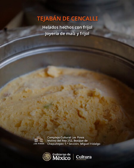 Cocina tradicional, milpa y actividades para toda la familia Más allá de conocer las diferentes variedades de frijol o las formas en que llega a nuestra mesa, la celebración busca mostrar la estrecha relación de esta leguminosa con la milpa y con la alimentación tradicional mexicana. Habrá actividades para niñas, niños y adultos, por lo que puede convertirse en un buen plan para disfrutar en familia durante el fin de semana. Talleres, charlas y experiencias participativas permitirán conocer de cerca la importancia del frijol dentro de la cultura alimentaria del país. Además, uno de los momentos más esperados será la participación de cocineras tradicionales, quienes compartirán platillos preparados alrededor de este ingrediente. Una oportunidad para acercarse a recetas y saberes culinarios que se conservan en distintas comunidades y regiones de México.