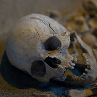 A pré-história também era "woke": uma mulher de 7 mil anos sugere que o gênero não era uma barreira intransponível