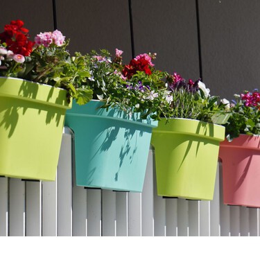 Esta suculenta todopoderosa resiste sol, frío y descuidos: es la planta (con flor) perfecta para balcones y terrazas 