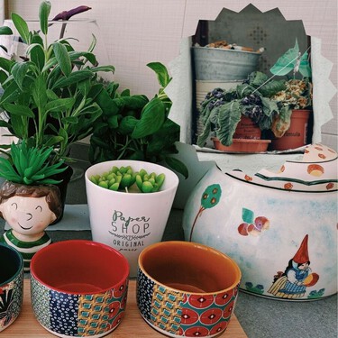 Si vas a salir de vacaciones y tienes plantas: cuídalas con el método de la botella de goteo