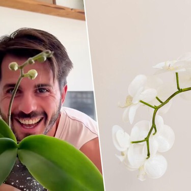 Álvaro Pedrero, experto en plantas: "Corres más riesgo trasplantando sin saber que dejando la planta en la maceta del vivero"