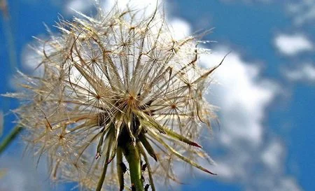 Prolonga la vida de tu ropa, quitando las 'bolillas' a los suéter y jerseys