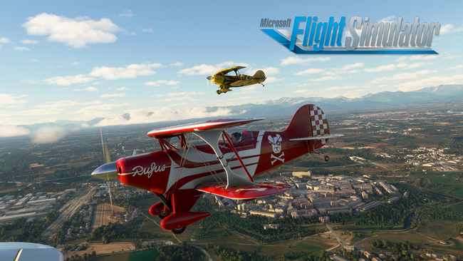Microsoft Flight Simulator