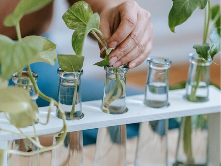 Copia De Plantilla 1200x900 65