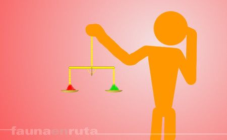 fauna en ruta: equilibrio entre seguridad y agilidad