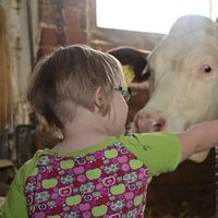 Crece el apoyo de empresas e instituciones al colectivo de personas con síndrome de Down y discapacidad intelectual