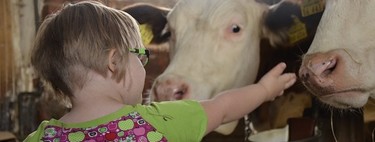 Crece el apoyo de empresas e instituciones al colectivo de personas con síndrome de Down y discapacidad intelectual
