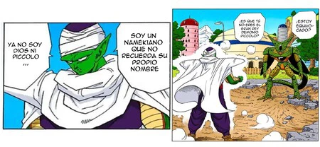 Piccolo Nombre