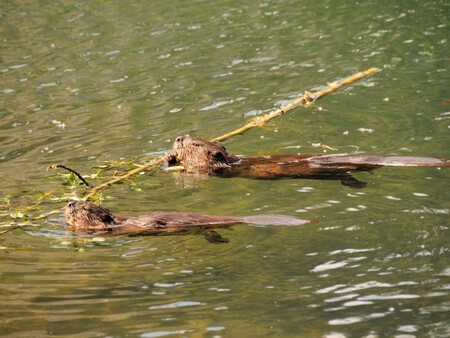 Post De Facebook Frase Acuarela Azul 1200 X 900 Px