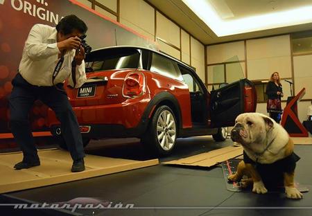 Mini Cooper III Spike