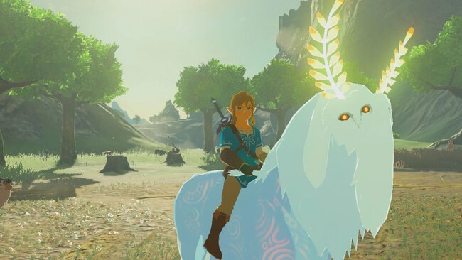 Senor De La Montana Zelda Botw