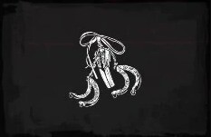 Abalorio De Diente De Castor