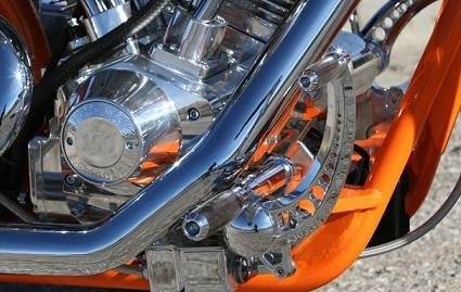 Big Bear Miss Behavin