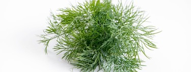 Eneldo: propiedades, beneficios y su uso en la cocina 