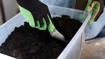 Olvídate del café y las cáscaras de huevo: este abono casero es el verdadero tesoro para tus plantas