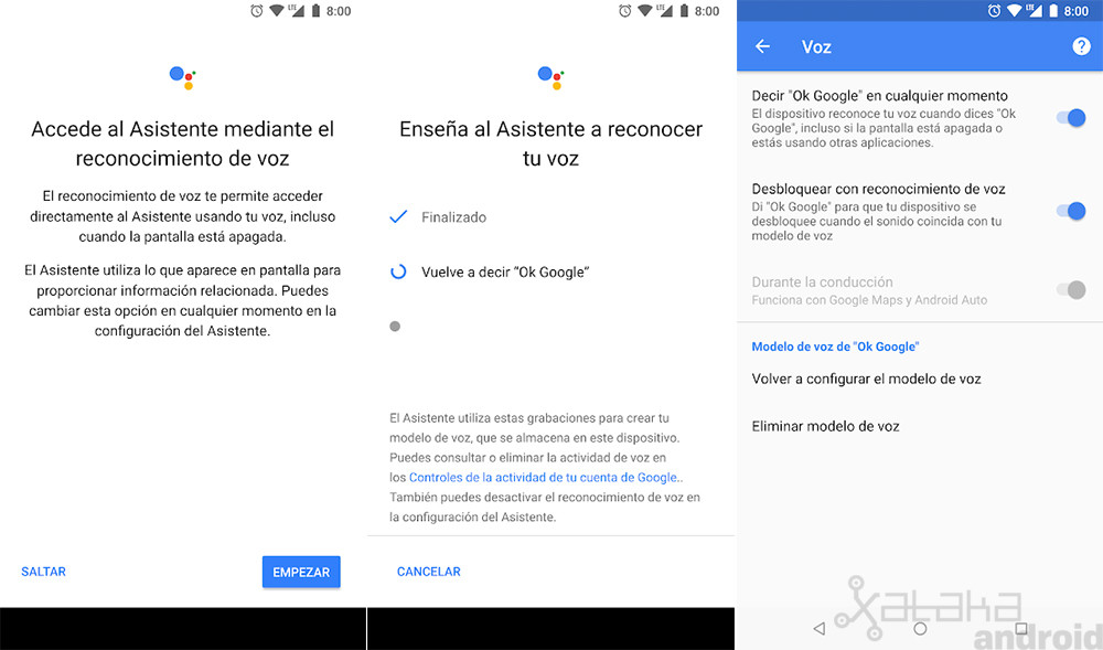 Voice Assistant