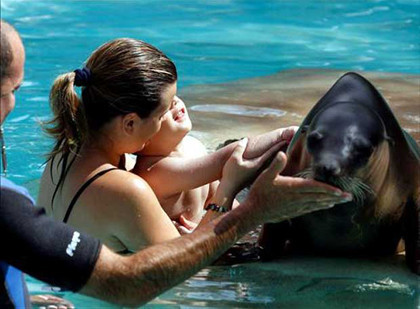 Terapia con leones marinos para niños autistas