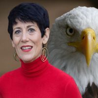 Se confirma la cuota de autónomos rebajada para 2025: se queda en 200 euros fijos si cumples este requisito