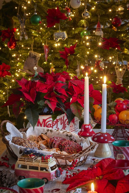 Cómo cuidar la flor de Pascua