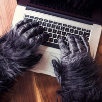 Si trabajas gratis, nadie valorará tu esfuerzo 