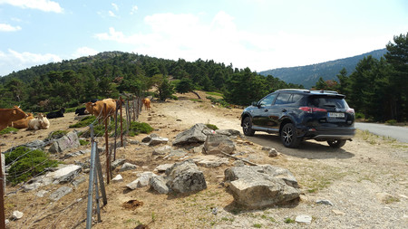 Toyota Rav4 Hybrid 29