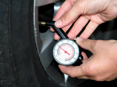 Por favor, ¿puedes dejar de dar patadas a mis ruedas, querido amigo?