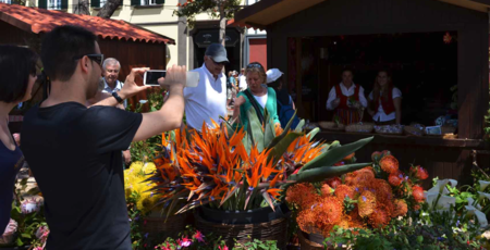 Festa Da Flor 6