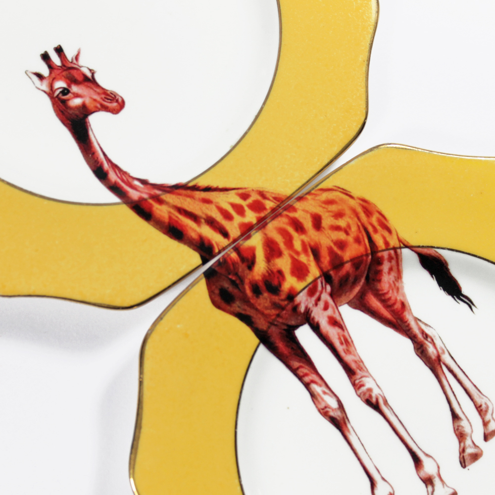 Foto de Yvonne Ellen (18/28)