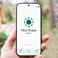 Hay personas utilizando Telegram como un sistema de envío de archivos pesados. No tiene sentido existiendo LocalSend 