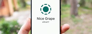 Hay personas utilizando Telegram como un sistema de envío de archivos pesados. No tiene sentido existiendo LocalSend 