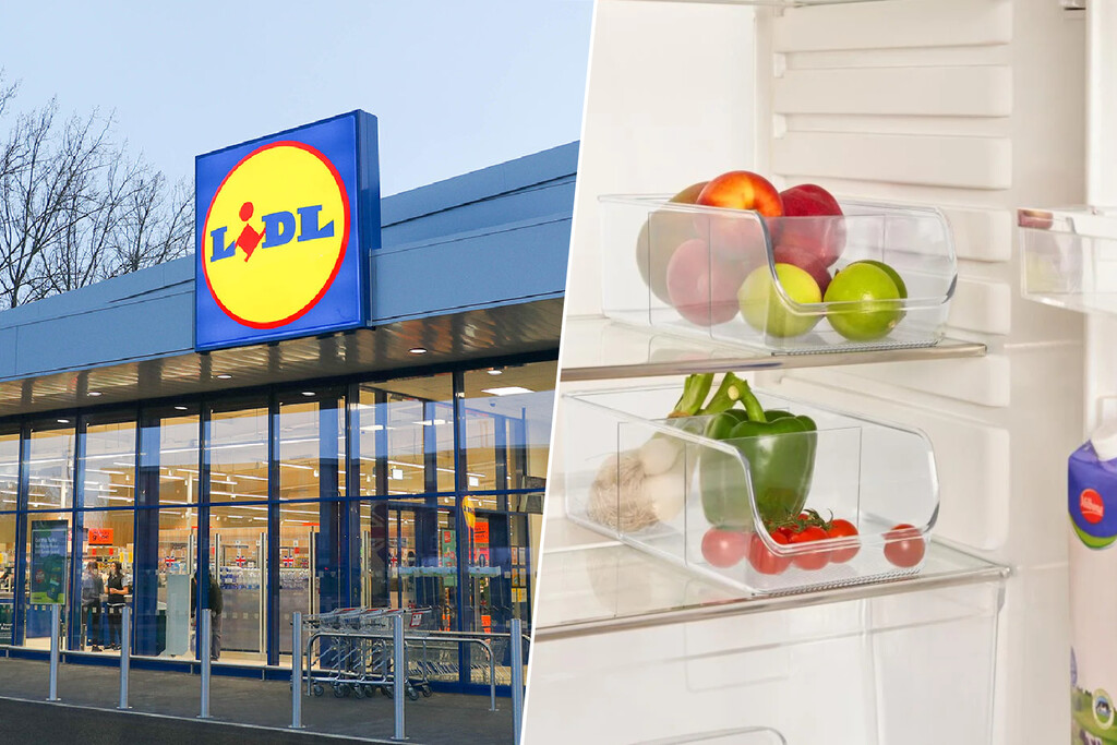 Este es el invento de Lidl para mantener el orden en la nevera y tener más espacio: cuesta menos de 10 euros