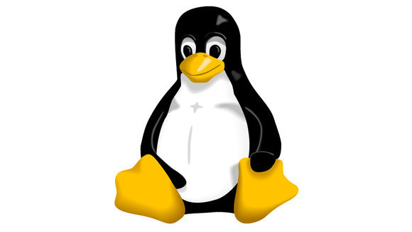 Linux Penguin