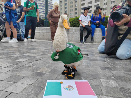 Pato
