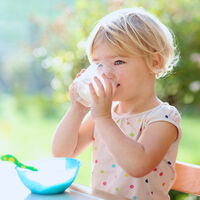 Cuándo se le puede dar al niño leche de vaca y cómo hacer la transición