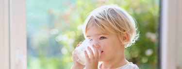 Cuándo se le puede dar al niño leche de vaca y cómo hacer la transición