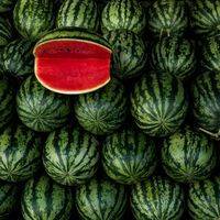 Hay un truco bastante sencillo para saber qué sandía elegir en el supermercado: si tiene mancha blanca o no