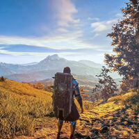 Tiene un mundo abierto de 2.016 kilómetros, fantasía medieval y un suspenso como un piano en Steam. El MMORPG The Quinfall patina como pocos