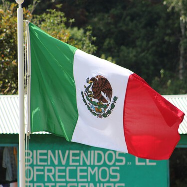 La SEP de Tabasco no abrirá más convocatorias para maestros de educación básica, para solucionarlo piden a sus pobladores que "tengan más hijos y menos mascotas"
