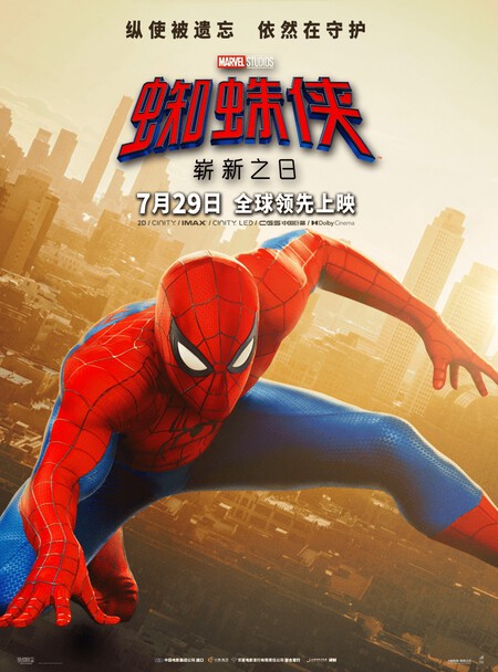 Spiderman Brand New Day Ver19 Xl