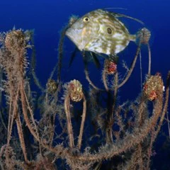 Foto 7 de 9 de la galería denuncia-ecologica en Xataka Foto